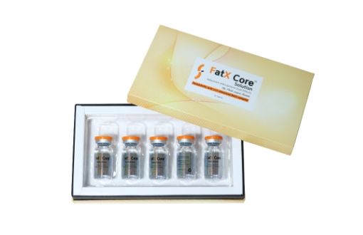 FAT X core