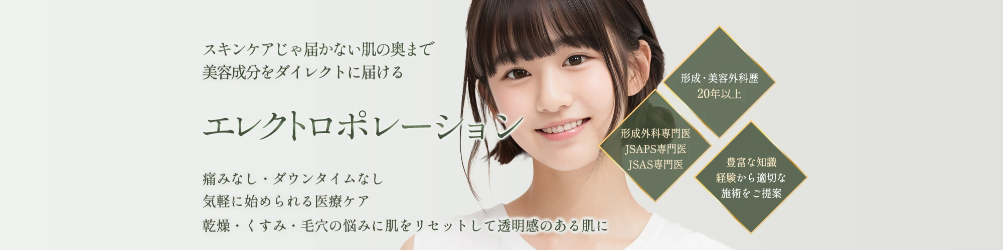 エレクトロポレーション(ケアシス/スプリング) エレクトロポレーション(ケアシス/スプリング)