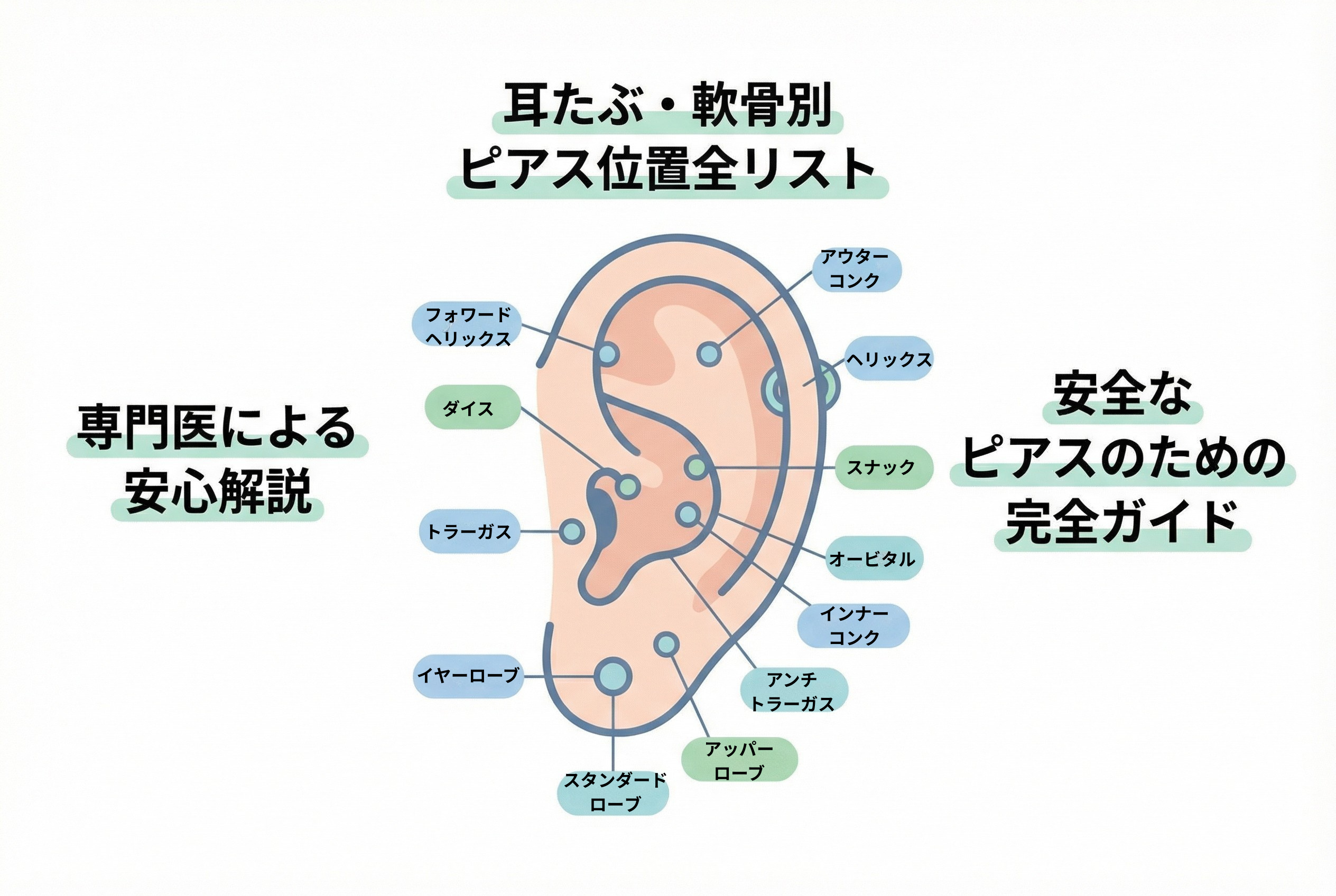 【形成外科専門医解説】耳たぶ・軟骨別：ピアス位置全リスト｜名古屋Re:Birth Clinic 院内ブログ