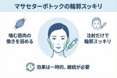 エラボトックスで本当に小顔になる？正解ガイド