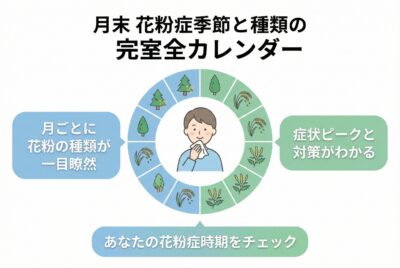 月別図解でわかる花粉症の時期と種類完全カレンダー