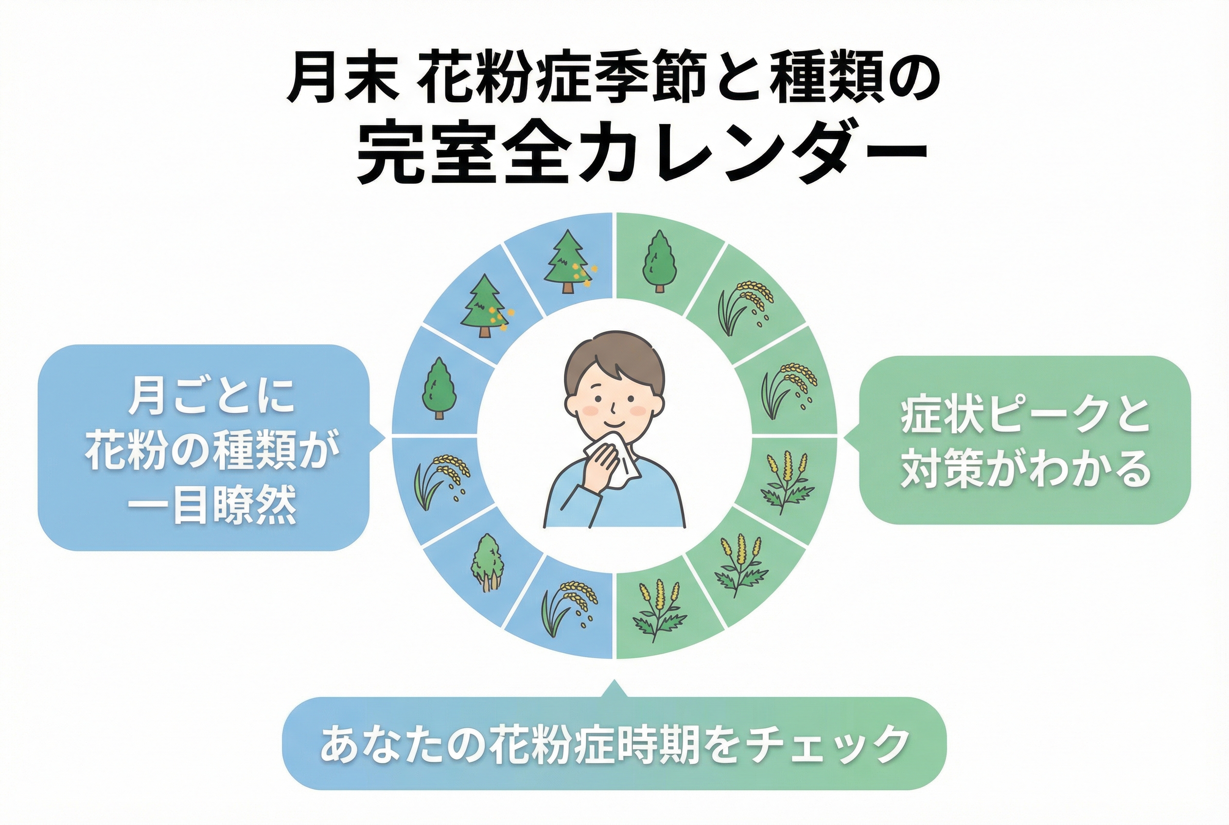 月別図解でわかる花粉症の時期と種類完全カレンダー｜名古屋Re:Birth