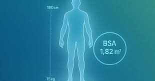 大人と子どもの体表面積を年齢別・部位別に図解｜計算と目安