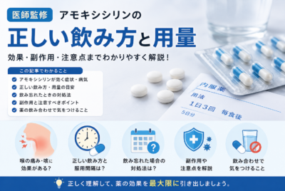 【医師監修】アモキシシリンの正しい飲み方と用量