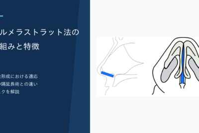 コルメラストラット法の仕組みと特徴 鼻尖形成における適応 鼻中隔延長術との違い リスクを解説
